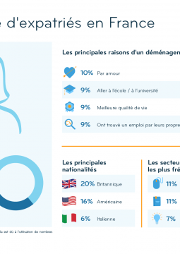 Graphique: Quel type d'expatriés en France